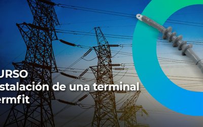 Guía práctica sobre terminales eléctricas Termfit